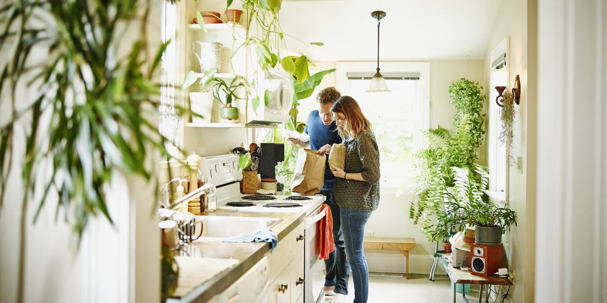 The difference between air purifier and dehumidifier