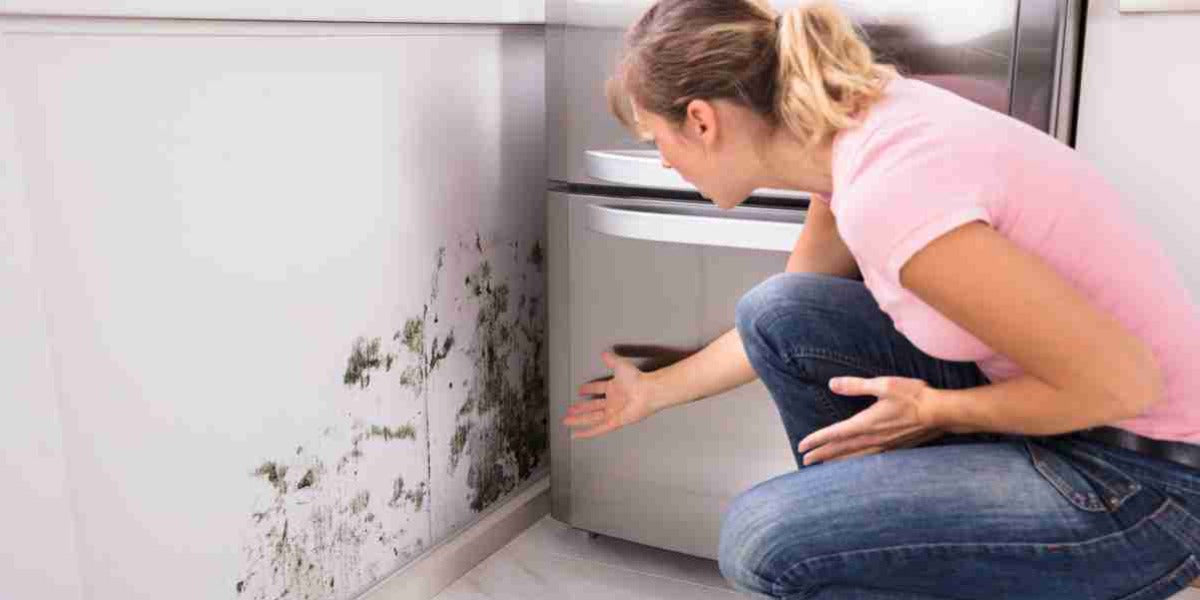 hazards of high humidity