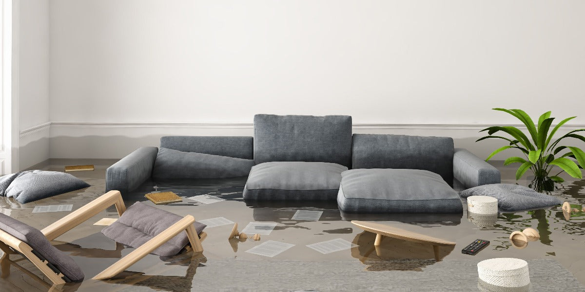 air mover water damage restoration
