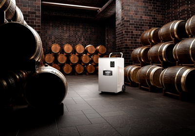 Commercial Wine Cellar Preservation