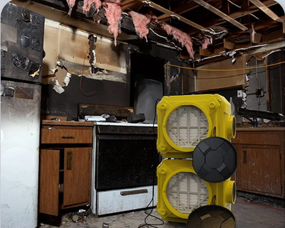 Post-Fire Restoration Project