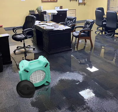 Flood Emergency Response
