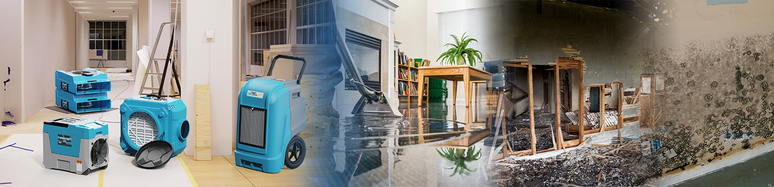 Comprehensive Restoration and Air Quality Solutions