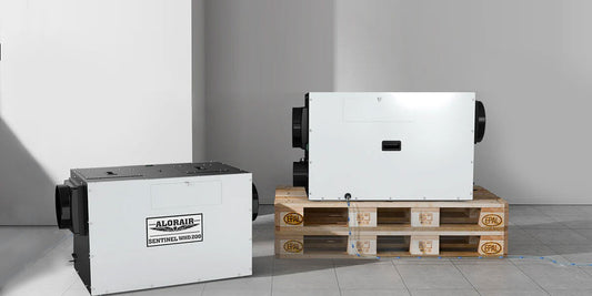 Two ducted whole house dehumidifiers with air collars and a condensate drain line