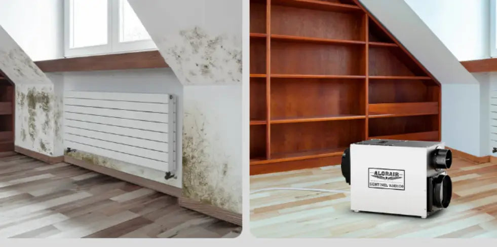 Is a Whole House Dehumidifier System Worth It?