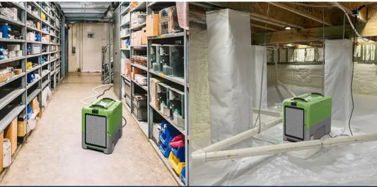10 Best Crawl Space Dehumidifiers of 2025