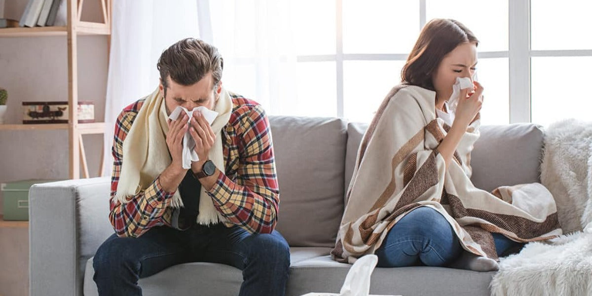 Indoor Air Pollution