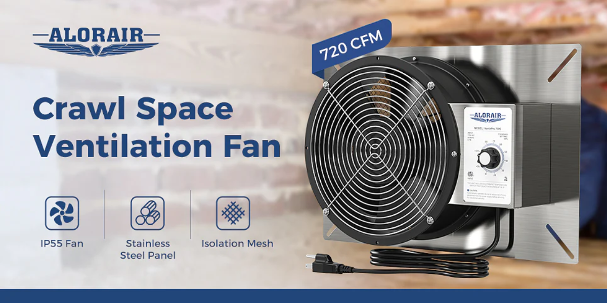 Will A Fan In The Basement Help Reduce Mold?