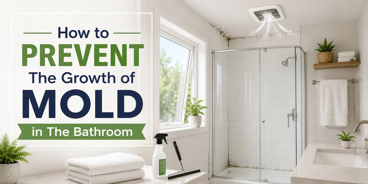 Bathroom mold prevention guide showing ventilation, moisture control, and mold growth around a shower area