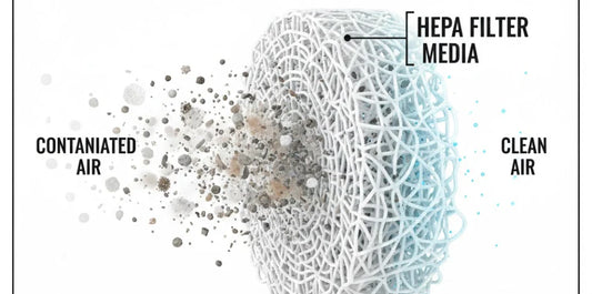 The Invisible Guard: Are Air Scrubbers Dangerous to Your Health?