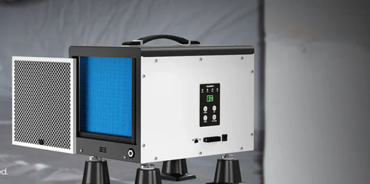 How to Choose the Best Commercial Dehumidifier for Basements