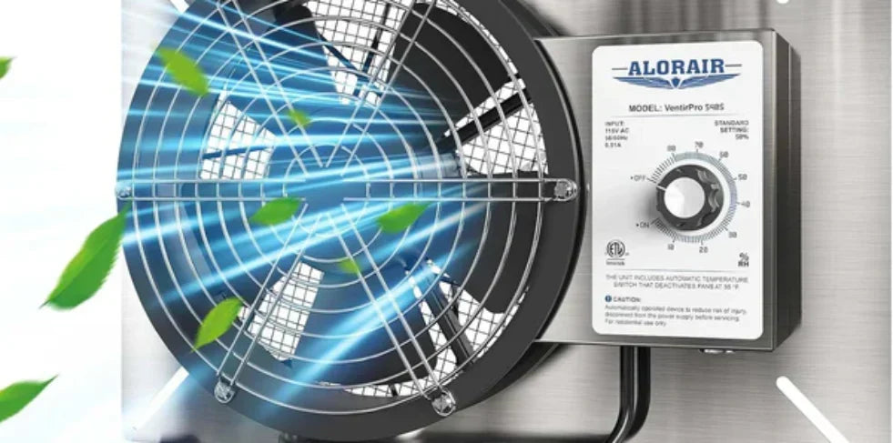 Can Fans and Dehumidifiers Mess Up WiFi? Complete Guide