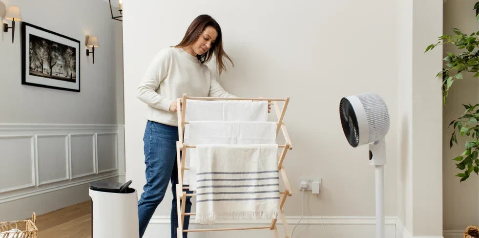 What Dehumidifier Setting Helps Prevent Mold?