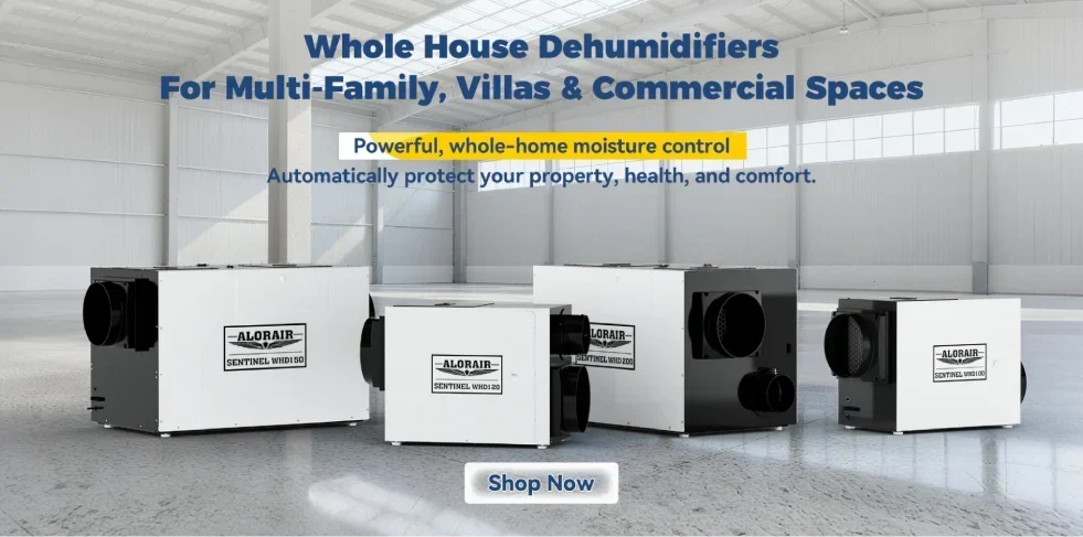 How Much Does a Whole House Dehumidifier Cost? Complete 2026 Guide