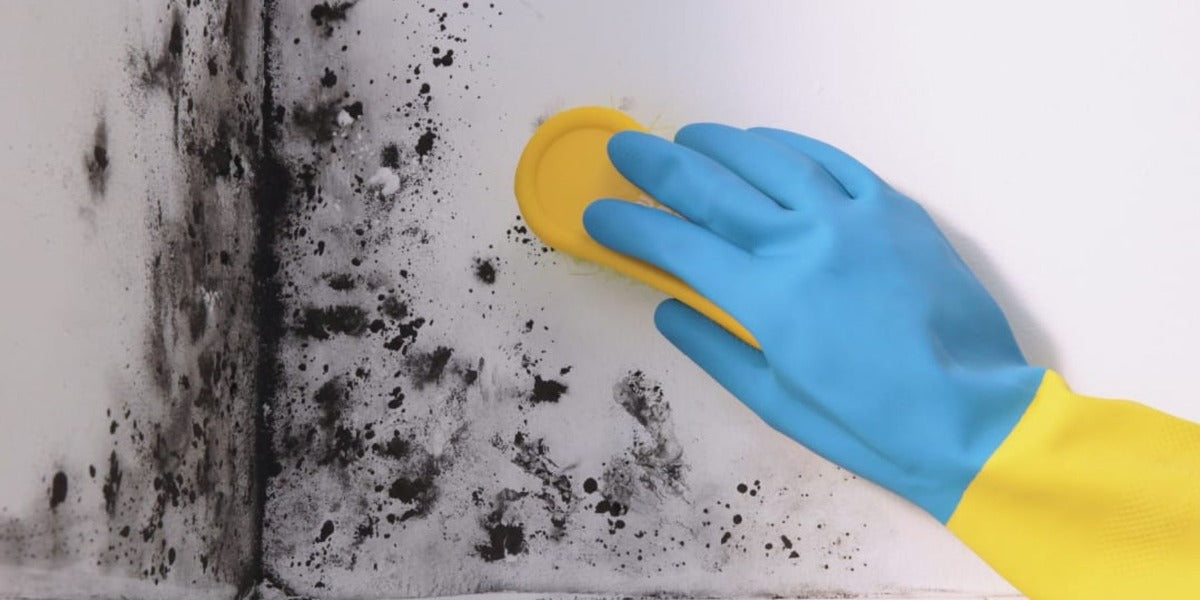Signs That You Need an Air Scrubber