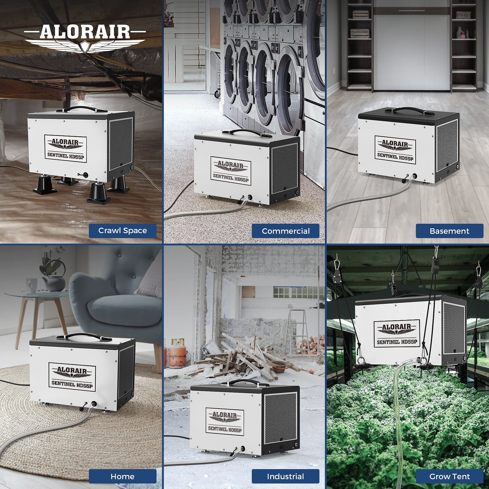 ALORAIR 120 Pint Commercial Dehumidifier Crawl Space Dehumidifier Up to 1,500 sq | Sentinel HD55P