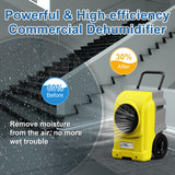 AlorAir® Storm Elite | 270 Pints Commercial Dehumidifiers with Pump and Drain Hose for Large Room or Basements Dehumidifiers with Smart Wi-Fi